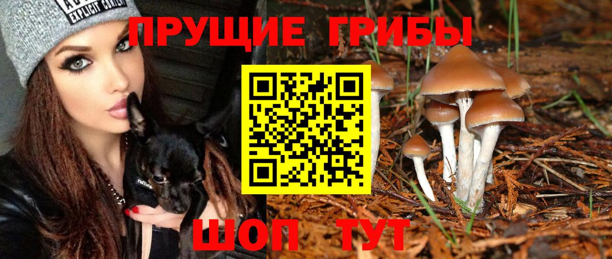 Псилоцибиновые грибы MAGIC MUSHROOMS Учалы
